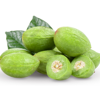 Harda (Terminalia Chebula)