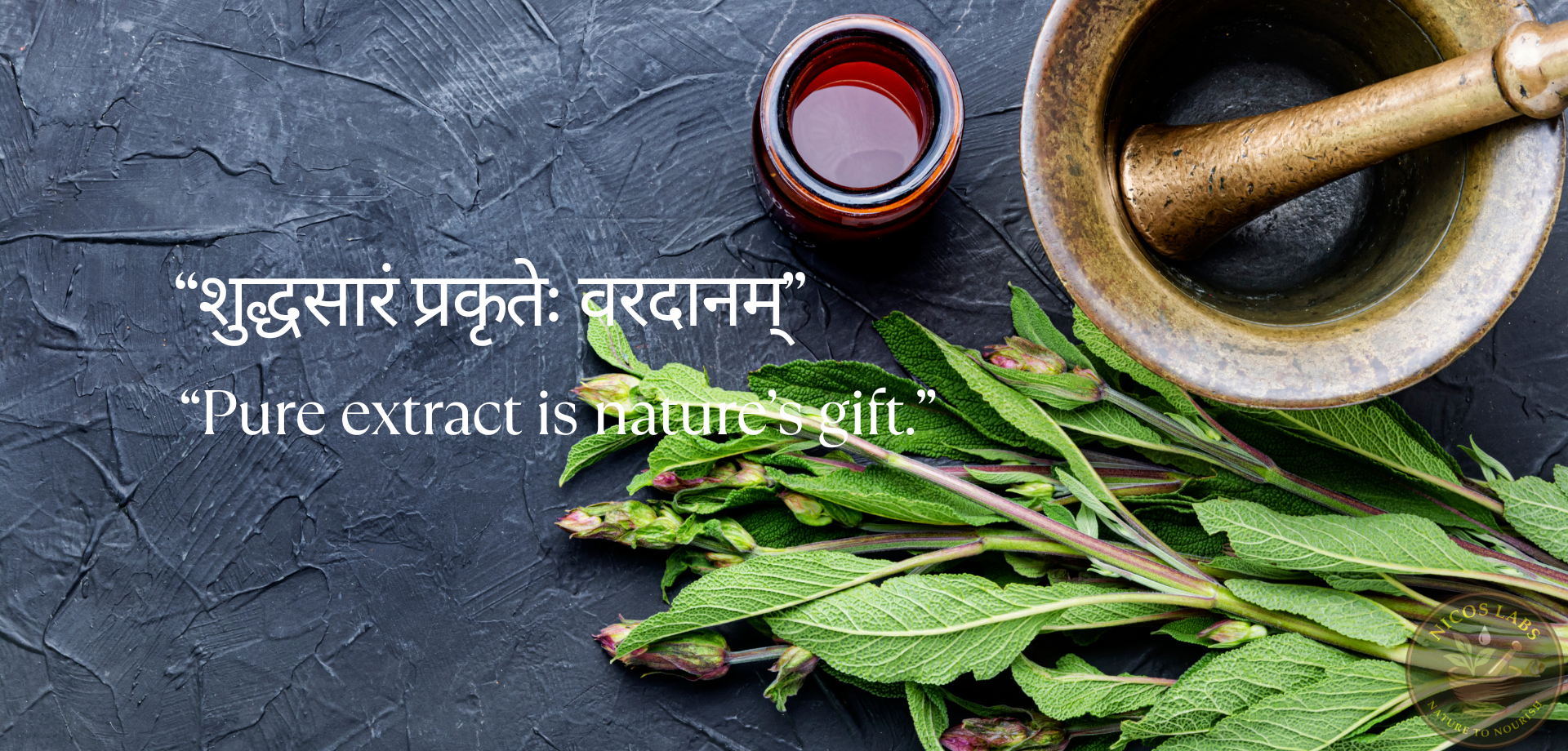 herbal-extract-4